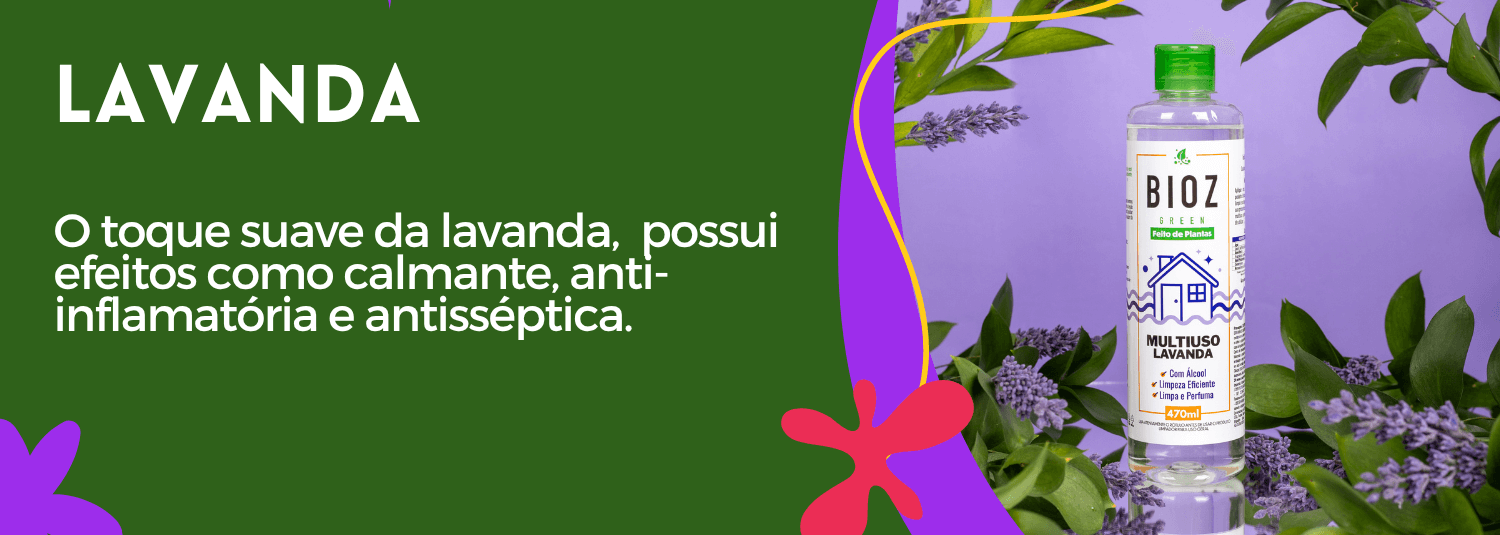 Categoria Casa Lavanda