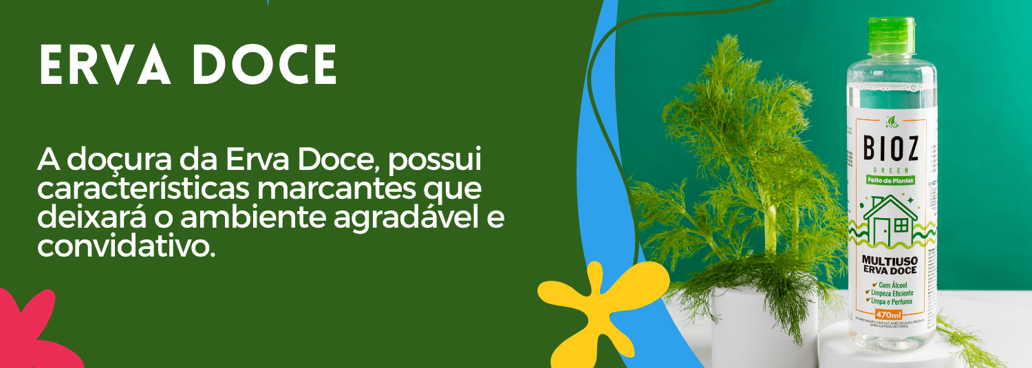 Categoria Casa Erva Doce